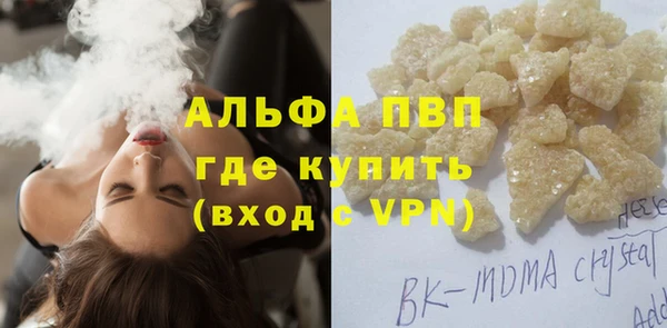 ГАЛЛЮЦИНОГЕННЫЕ ГРИБЫ Бородино