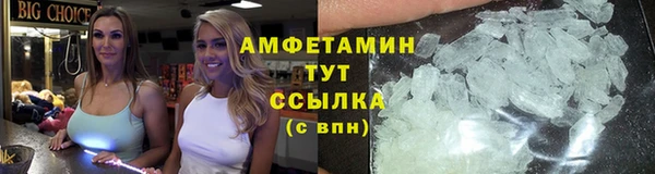 ГАЛЛЮЦИНОГЕННЫЕ ГРИБЫ Бородино