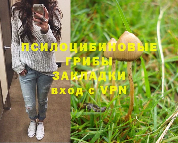 а пвп мука Бугульма