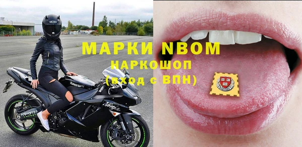 ГАЛЛЮЦИНОГЕННЫЕ ГРИБЫ Бородино